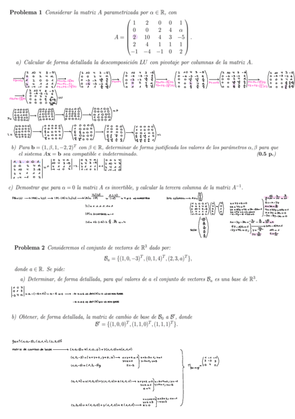 Miniatura del documento EXAMENES.pdf