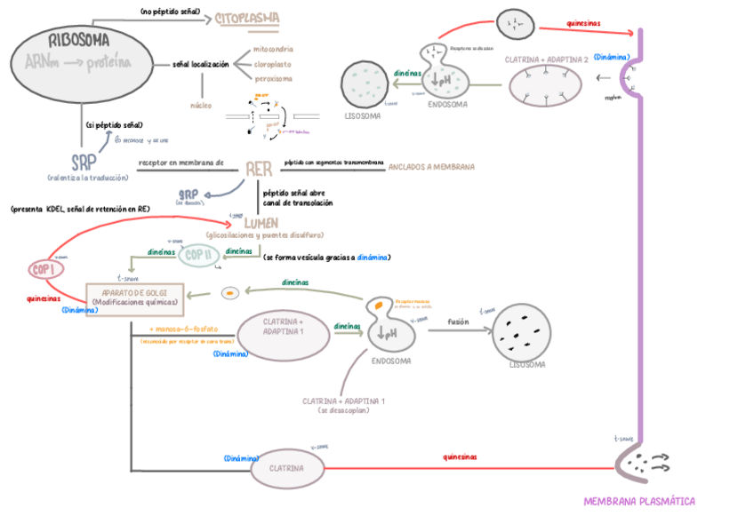 Miniatura del documento Destino-Celular.pdf