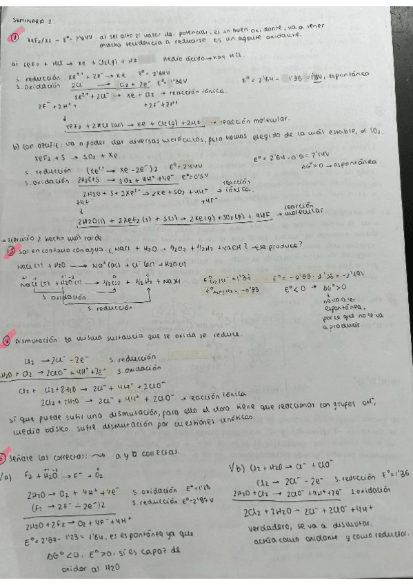 Miniatura del documento SEMINARIO-1.pdf