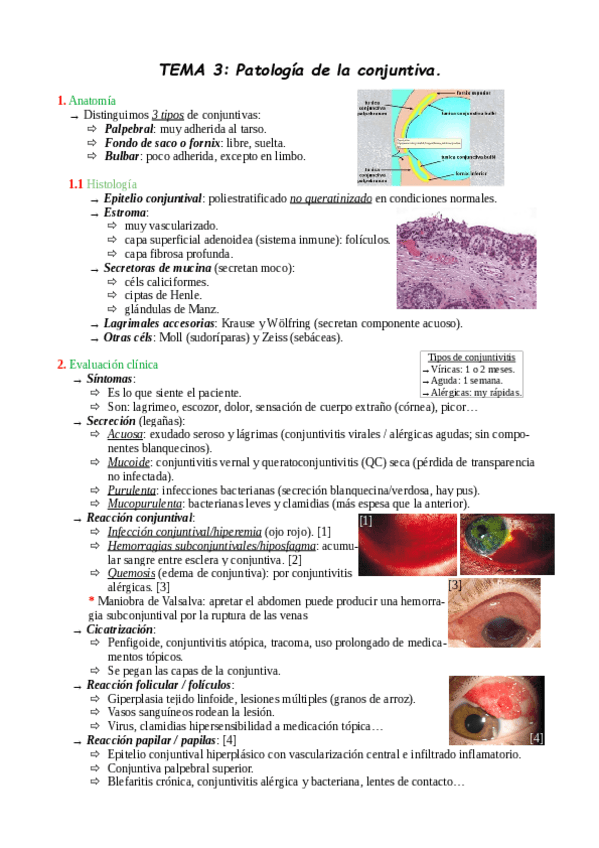 Miniatura del documento TEMA-3.pdf