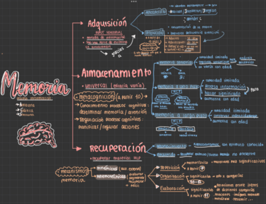 Miniatura del documento Esquema-Memoria-Desarrollo-cognitivo.pdf