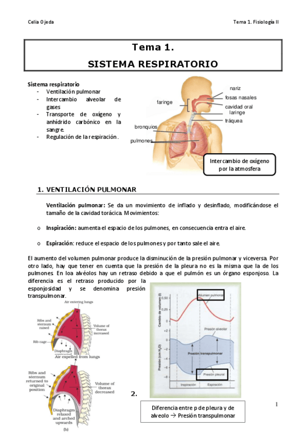 Miniatura del documento fisioiicelia.pdf
