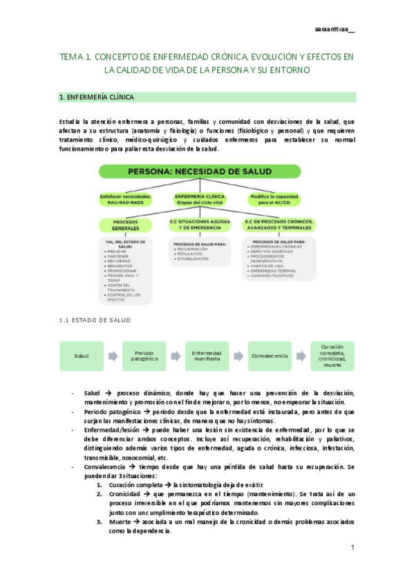 Miniatura del documento tema-1.pdf