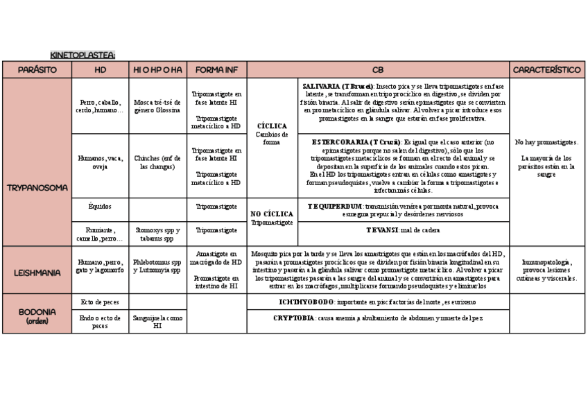 Miniatura del documento Tabla-cb-de-protistas.pdf