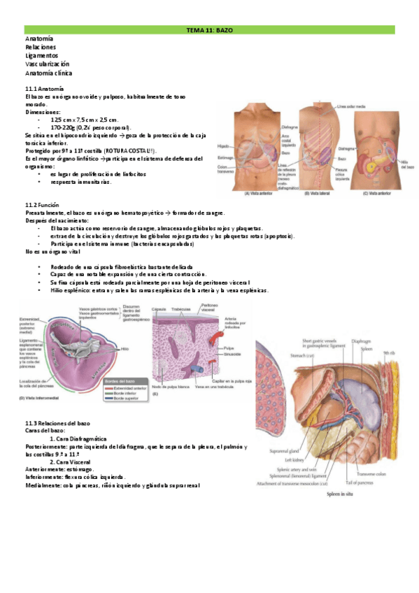 Miniatura del documento TEMAS-11-15-DRURE.pdf