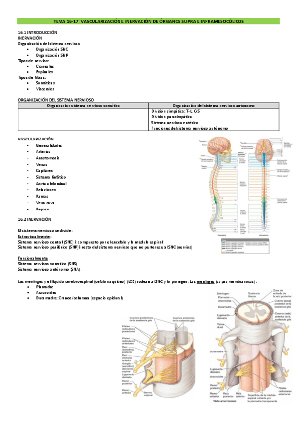 Miniatura del documento TEMAS-16-20-DRURE.pdf