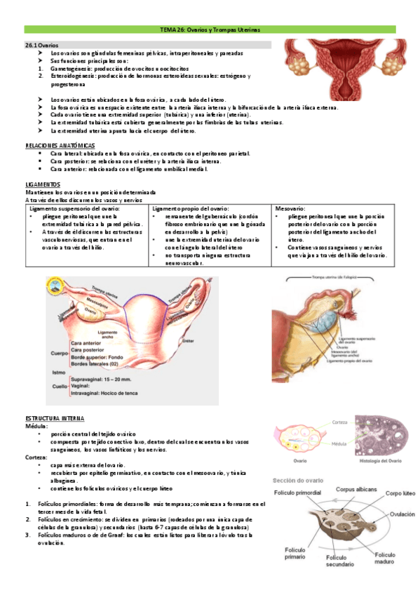 Miniatura del documento TEMAS-26-31-REPRODUCTOR-DRURE.pdf