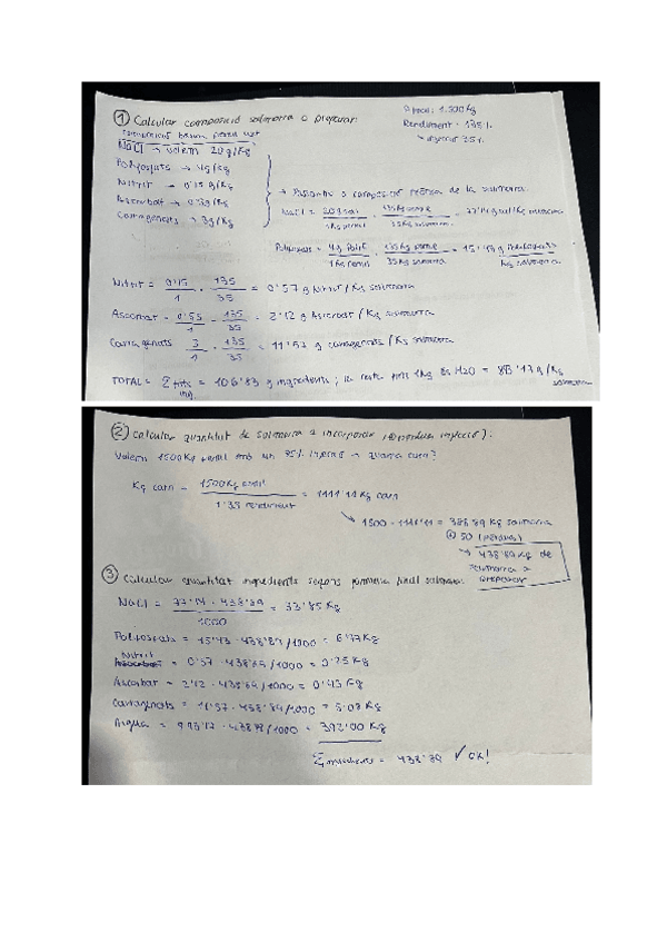 Miniatura del documento Calcul-injeccio-salmorra.pdf