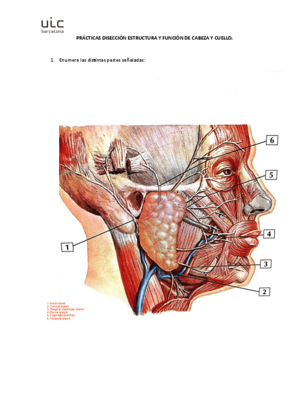 Miniatura del documento lamina-10.pdf