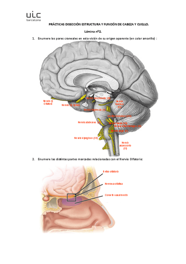 Miniatura del documento lamina-2.pdf