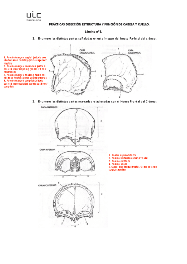 Miniatura del documento lamina-3.pdf