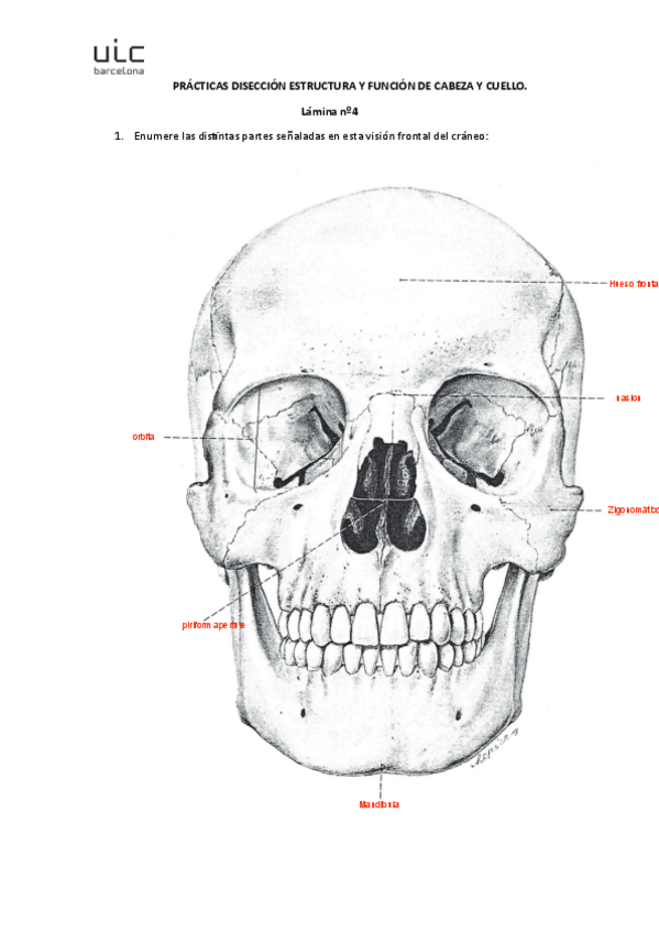 Miniatura del documento lamina-4.pdf