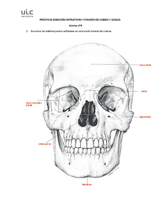 Miniatura del documento lamina-4.pdf