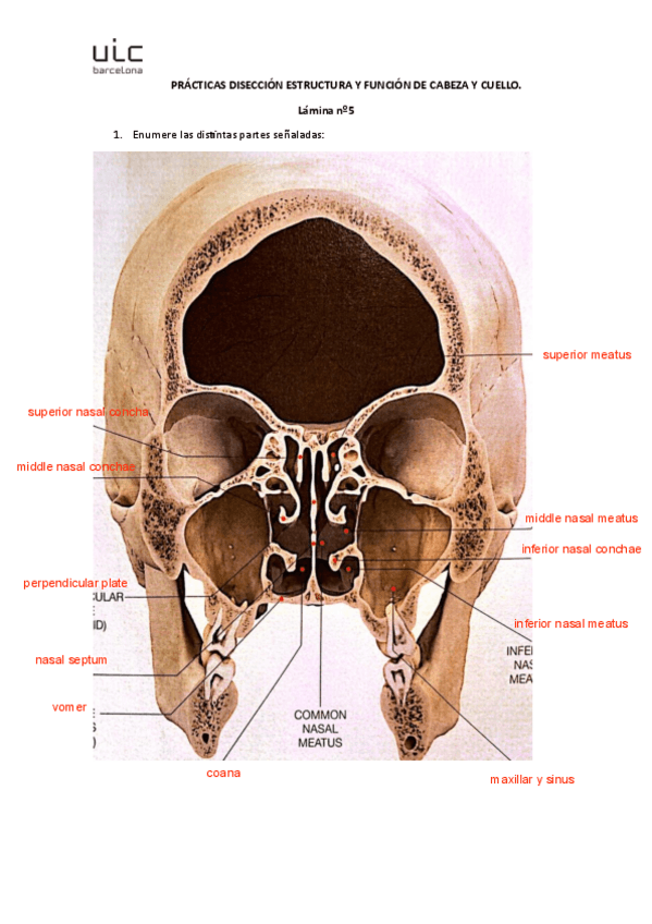 Miniatura del documento lamina-5.pdf