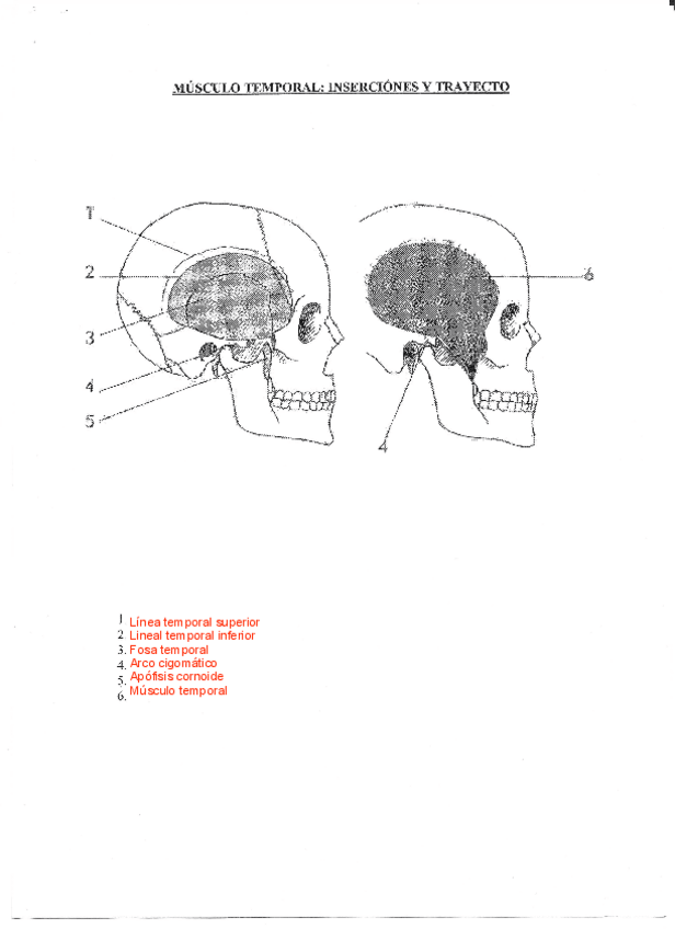 Miniatura del documento lamina-6.pdf