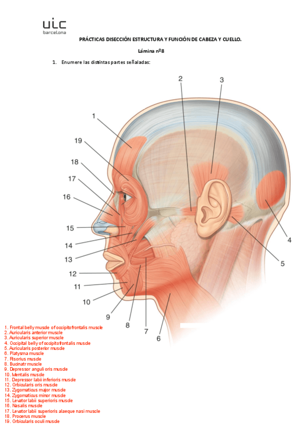 Miniatura del documento lamina-8.pdf