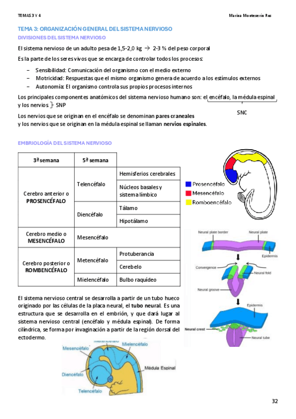 Miniatura del documento APUNTES-FISIO-TEMAS-3-Y-4-Marina-Monteserin.pdf