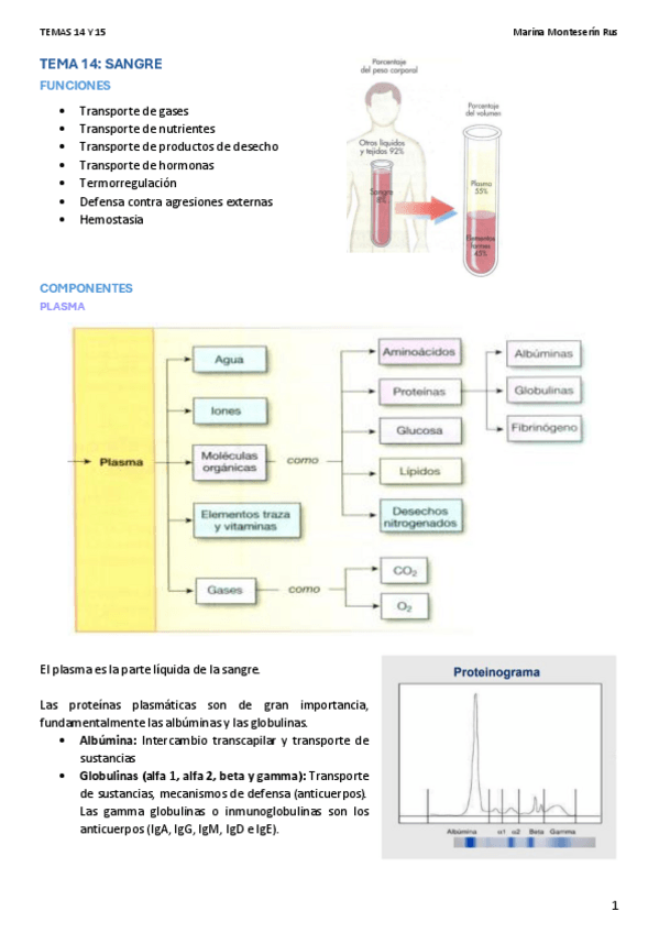 Miniatura del documento APUNTES-FISIO-TEMAS-14-Y-15-Marina-Monteserin-Rus.pdf