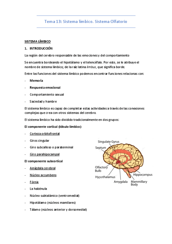 Miniatura del documento Tema-13-Sistema-limbico.-Sistema-Olfatorio.pdf