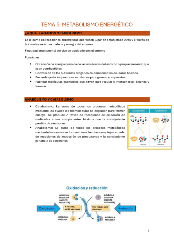 Miniatura del documento TEMA-5.pdf