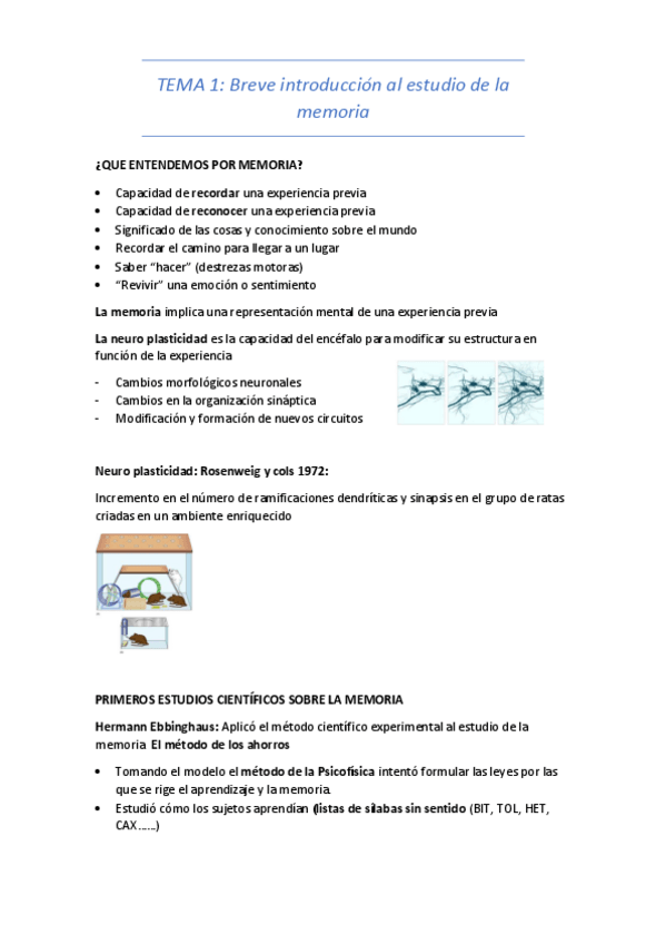 Miniatura del documento Tema-1-Breve-introduccion-al-estudio-de-la-memoria.pdf