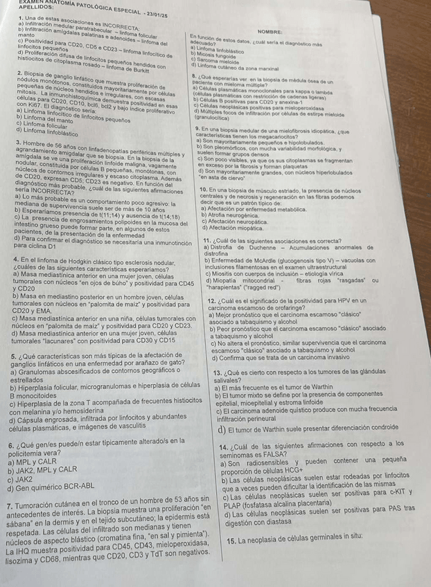 Miniatura del documento Examen-ENERO-2025.pdf