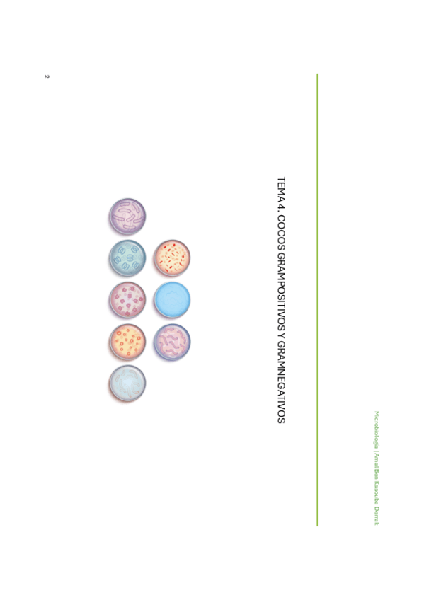 Miniatura del documento Microbiologia-tema-4.-cocos-grampositivos-y-gramnegativos.pdf