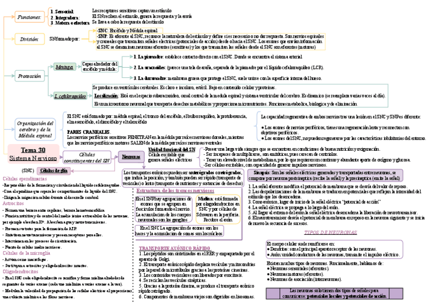 Miniatura del documento Tema-30-Esquema.pdf