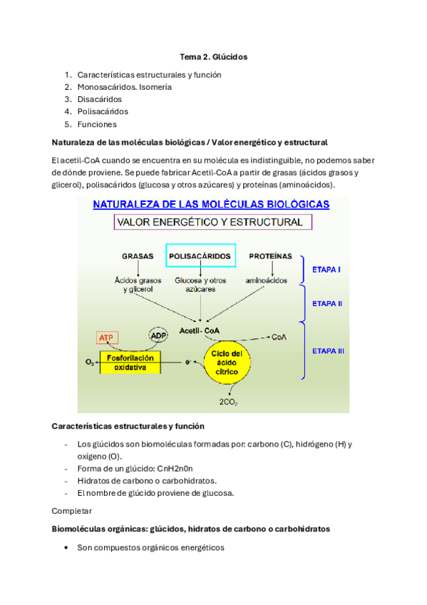 Miniatura del documento Tema-2-Glucidos.pdf
