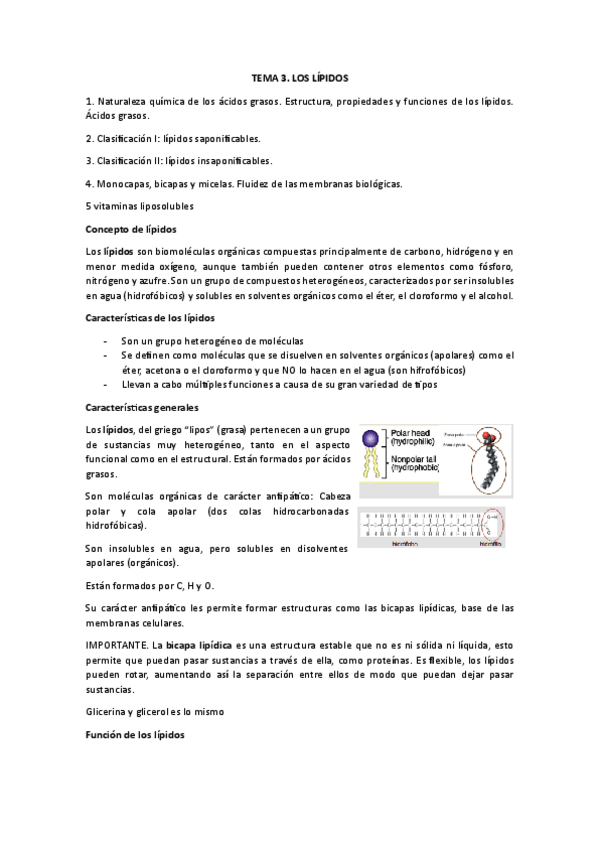 Miniatura del documento Tema-3.-Lipidos.pdf