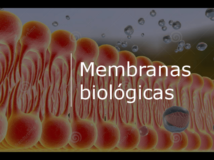 Miniatura del documento tema-4.-Membranas-biologicas.pdf