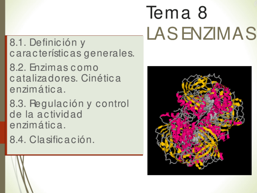 Miniatura del documento TEMA-7-Las-Enzimas.pdf