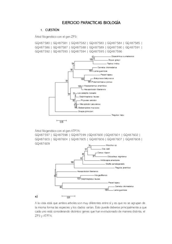 Miniatura del documento TRABAJO-INFORMATICA.pdf