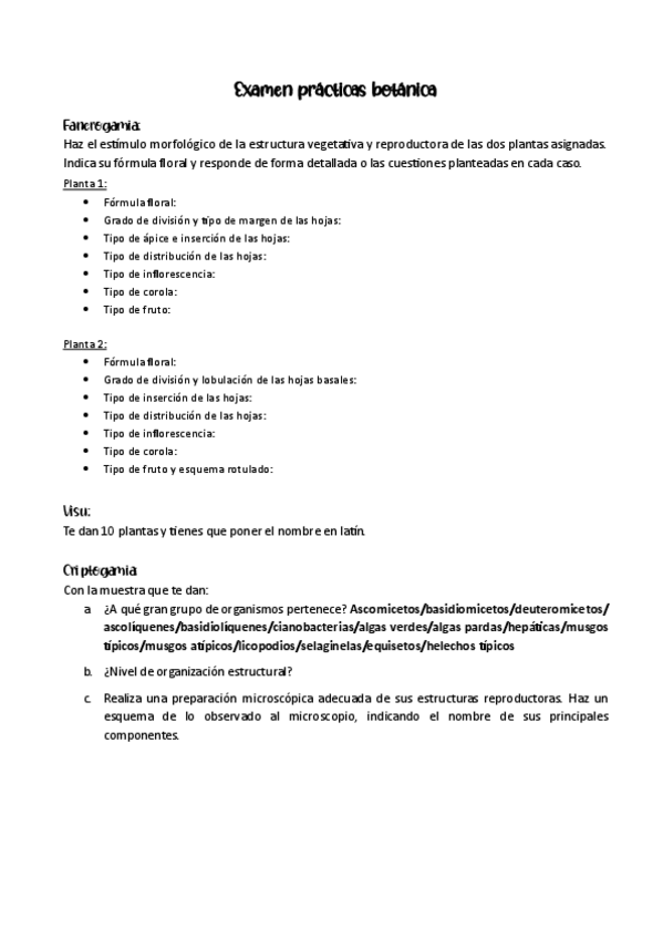 Miniatura del documento Examen-Practicas.pdf