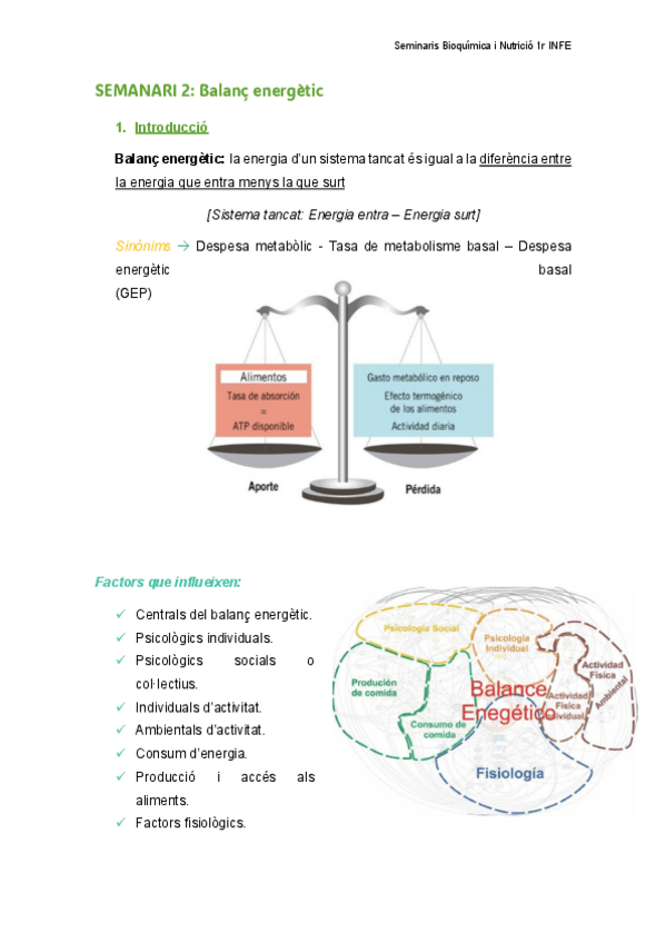 Miniatura del documento RESUM-SEMINARIS-TEORIA-BIOQUIM..pdf