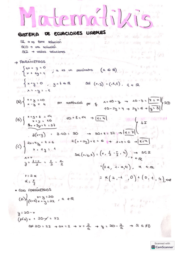 Miniatura del documento Apuntes.pdf