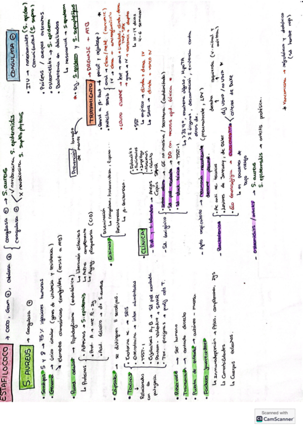 Miniatura del documento esquemas-infecciosas.pdf