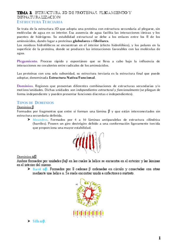 Miniatura del documento Resumen Tema 3 Bioquimica.pdf