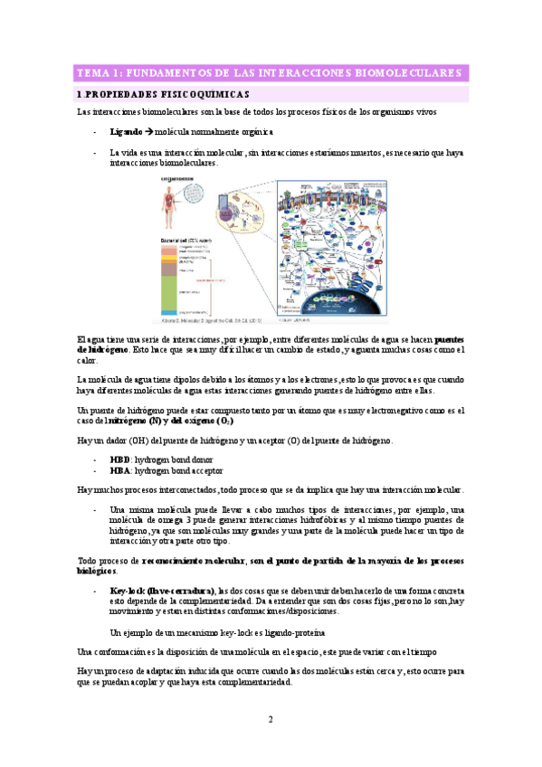 Miniatura del documento Apuntes interaccion de biomoleculas.pdf