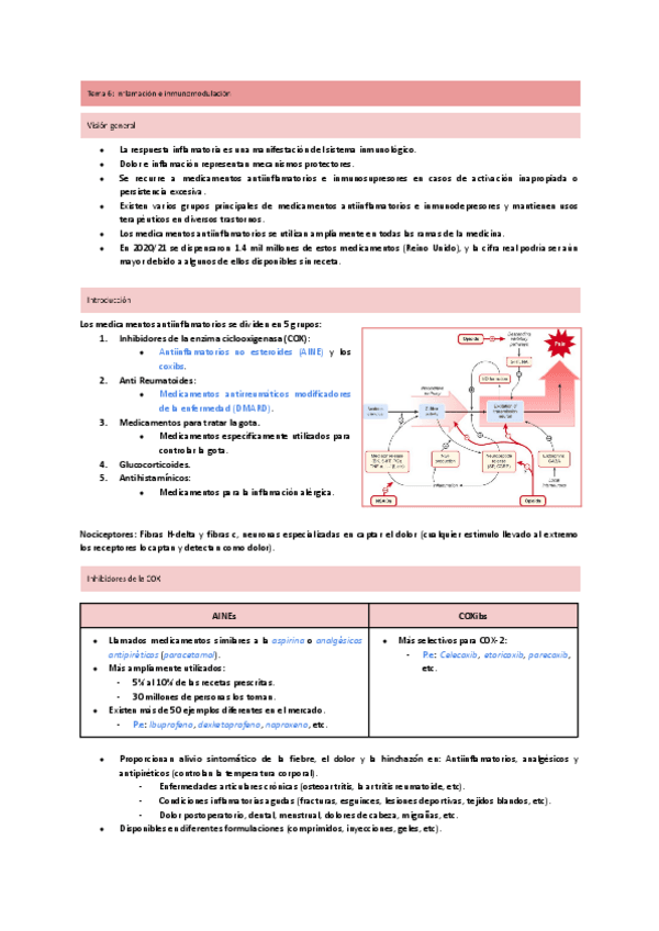 Miniatura del documento Tema-6-inflamacion-e-inmunomodulacion.pdf