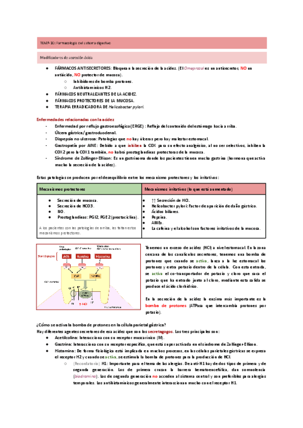 Miniatura del documento Tema-10-digestivo.pdf