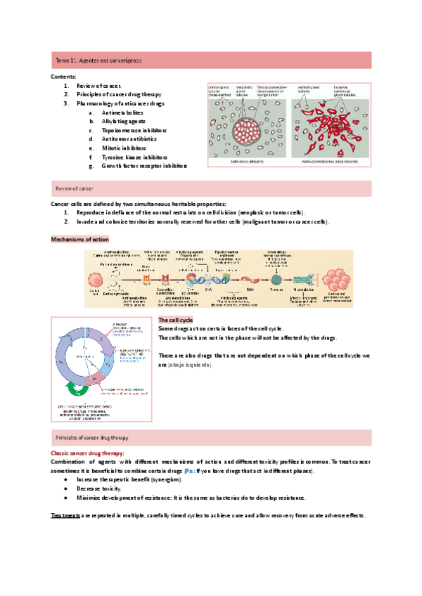 Miniatura del documento Tema-11-Anticancerigenos.pdf