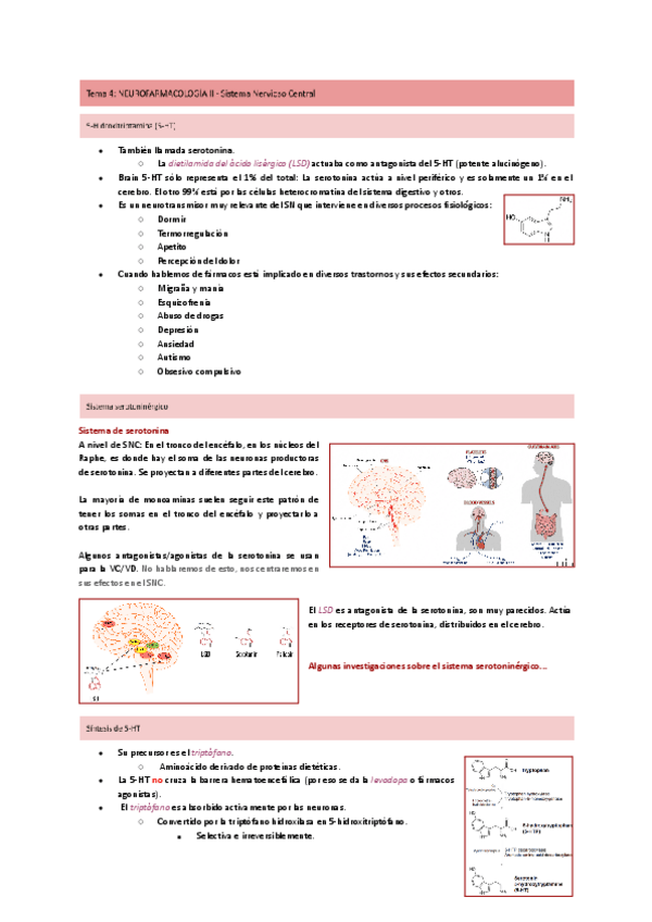 Miniatura del documento Tema-4-Sistema-serotoninergico.pdf