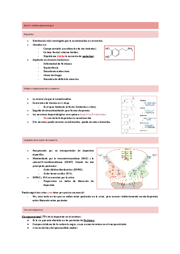 Miniatura del documento Tema-5-Sistema-dopaminergico.pdf
