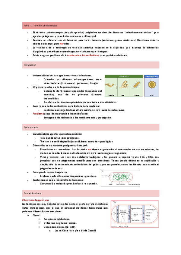 Miniatura del documento Tema-7-Antiinfecciosos.pdf