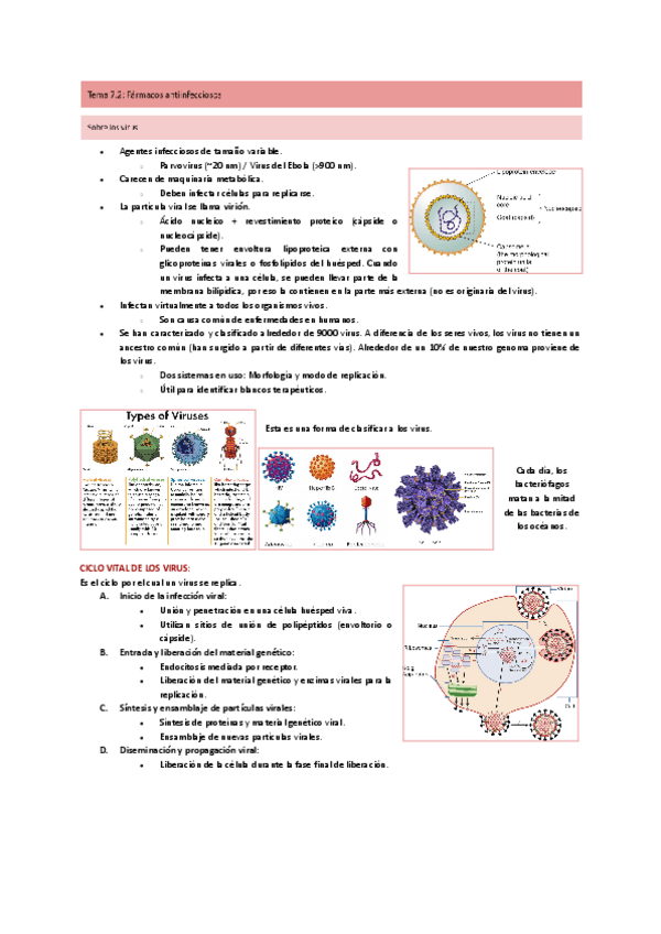 Miniatura del documento Tema-7.2-Antiinfecciosos.pdf