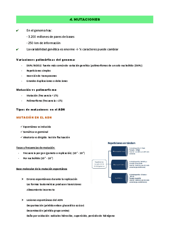 Miniatura del documento Tema-4..pdf
