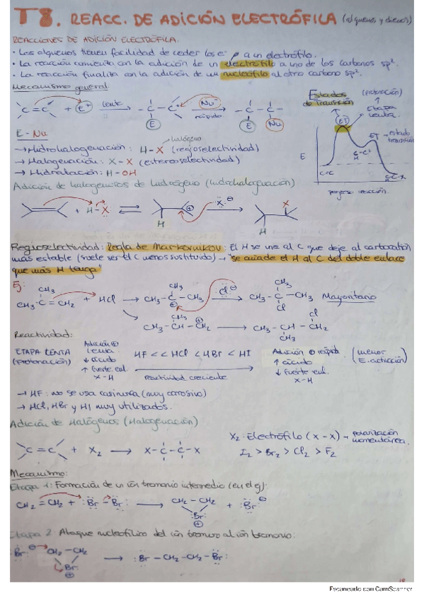 Miniatura del documento Tema-8.-Q.-Organica.pdf