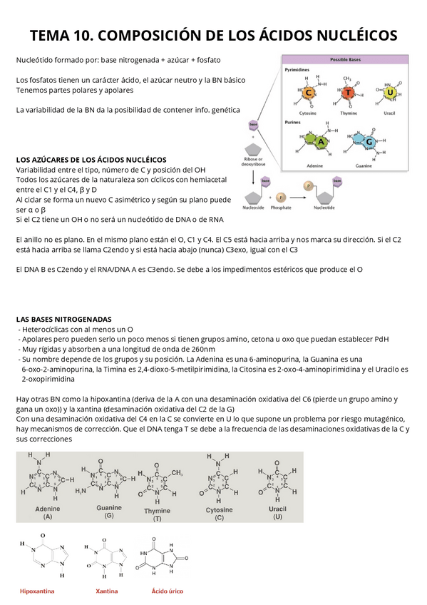 Miniatura del documento EME-II.pdf