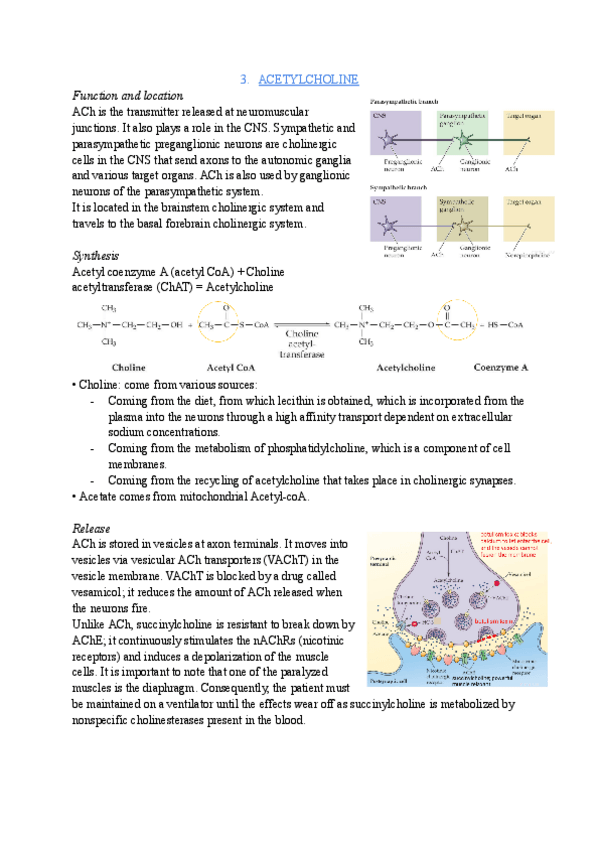 Miniatura del documento Tema-5-psicofarma-parte-2.pdf